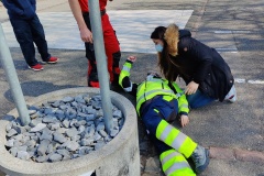 IMG_20210417_113709