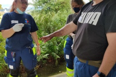 IMG_20210909_143250